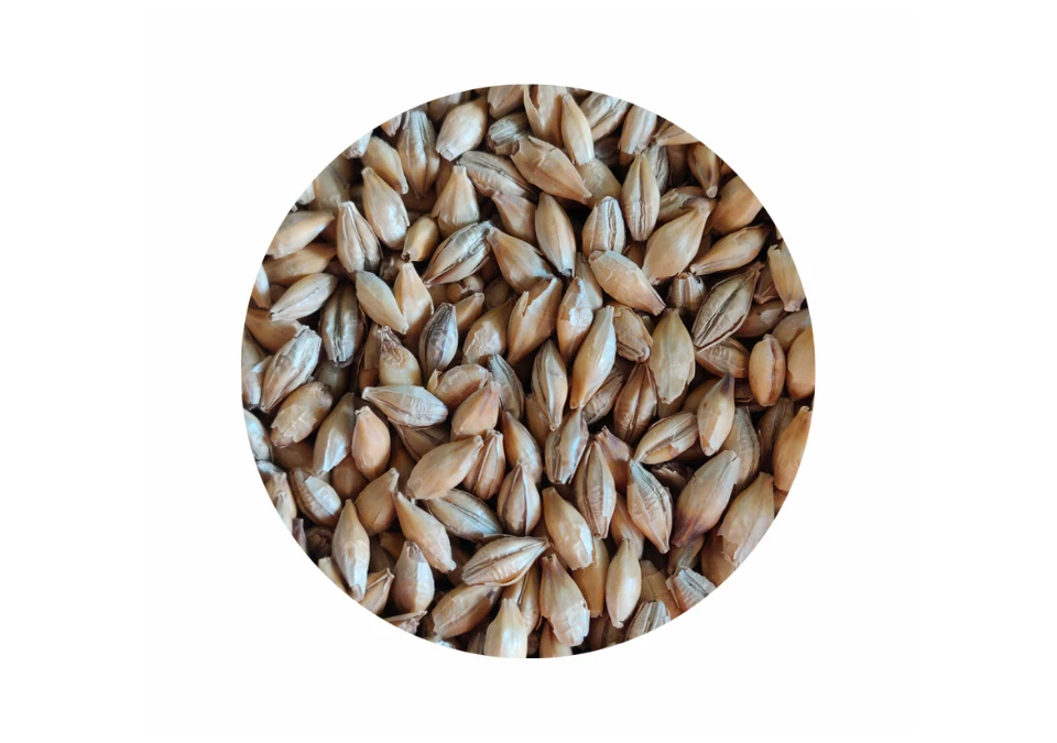 Crisp Chit Malt 1kg Whole