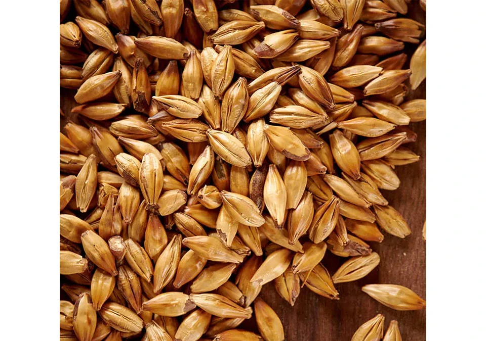 Weyermann Caramünch-2 Malt 1kg Whole