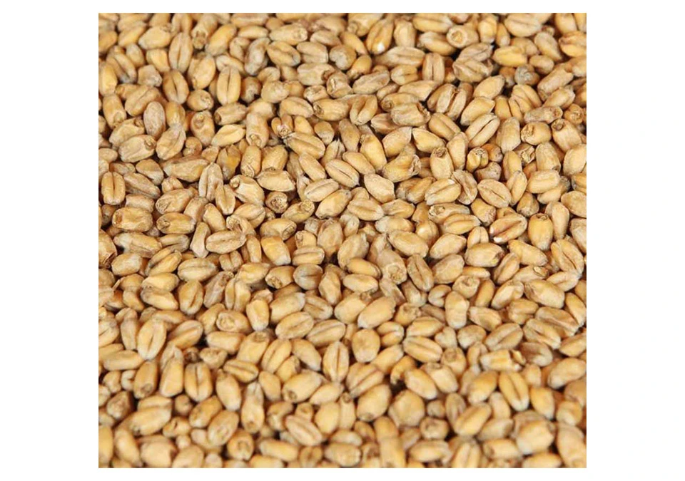 Weyermann Oak Smoked Wheat Malt 1kg Whole