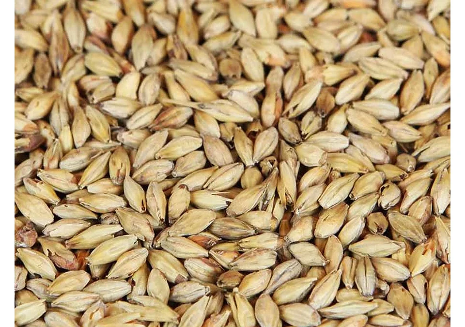 Weyermann Diastatic Barley Malt 1kg Whole